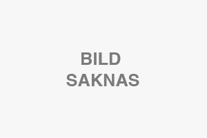 DPF-partikelfilter